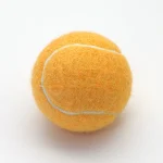 Tennis 09