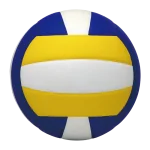热贴排球 08